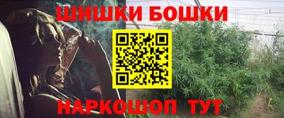 сатива Нальчик